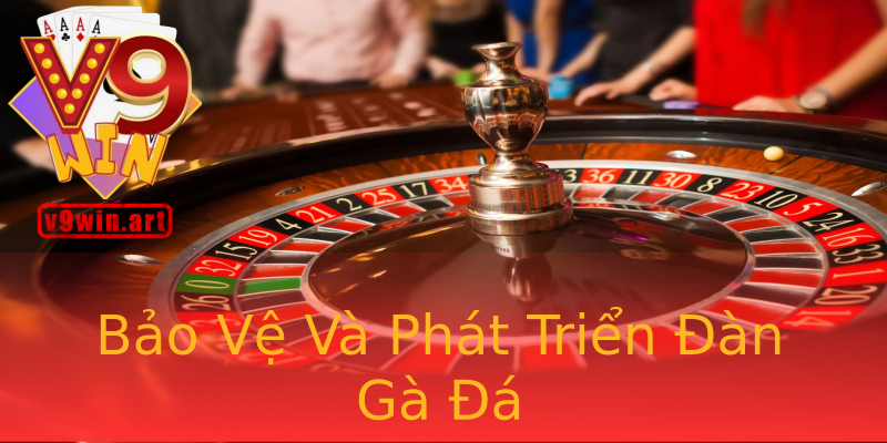 Bảo Vệ Và Phát Triển Đàn Gà Đá