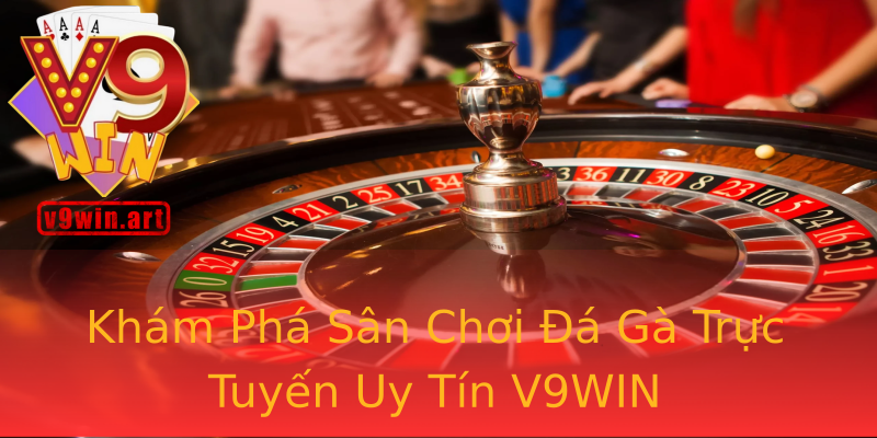 Khám Phá Sân Chơi Đá Gà Trực Tuyến Uy Tín V9WIN