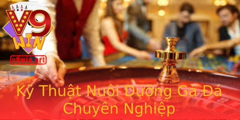 Kỹ Thuật Nuôi Dưỡng Gà Đá Chuyên Nghiệp